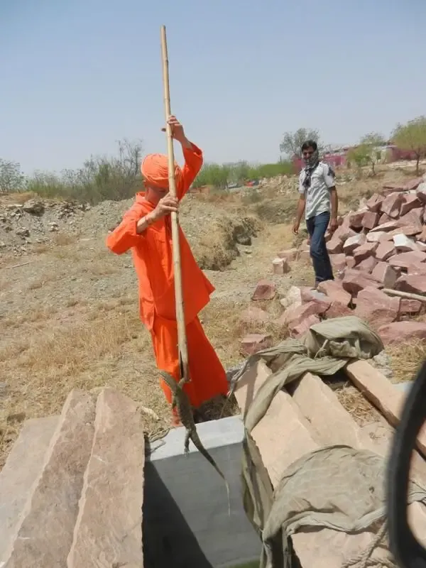 jimmy-the-lizard bodyImage